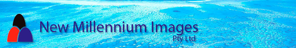 New Millennium Images Pty Ltd
