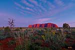 Uluru at daybreak - Australia L088 (sizes: 400x600; 600x900; 900x1350mm)