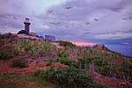 Montague Island - Australia L112 (sizes: 400x600; 600x900; 900x1350mm)