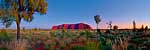 Uluru at daybreak - Australia P721 (sizes: 400x1200; 500x1500; 600x1800mm)