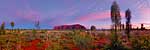 Uluru at sunrise - Australia P722 (sizes: 400x1200; 500x1500; 600x1800mm)