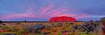 Uluru at sunset - Australia P723 (sizes: 400x1200; 500x1500; 600x1800mm)