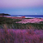 Outlook - Australia H032 (sizes: 600x600; 900x900; 1080x1080mm)