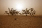Sandstorm - Australia L047 (sizes: 600x900; 900x1350mm)