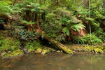 Julius Rivulet - Australia L061 (sizes: 600x900; 900x1350mm)