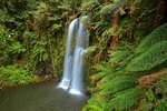 Beauchamp Falls - Australia L063 (sizes: 600x900; 900x1350mm)